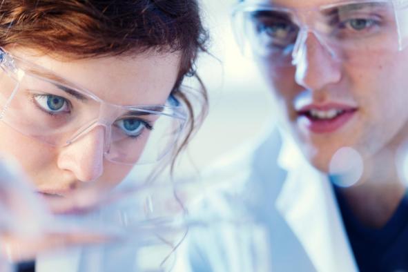 Biologie études