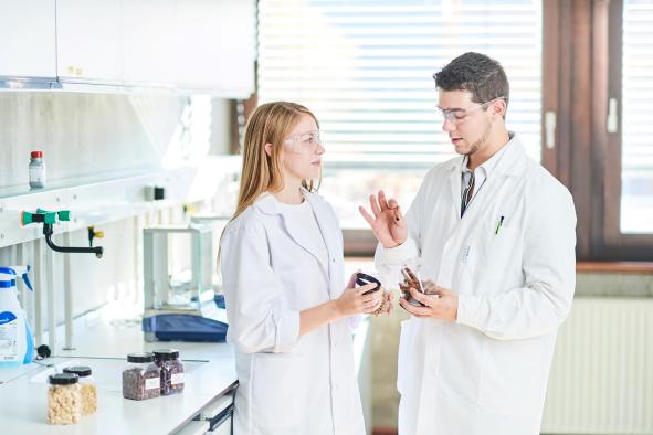 Medecine études